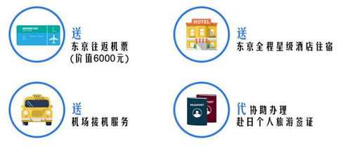 南昌櫻花游學優勢 融合自然美景與教育體驗的創新旅游業務