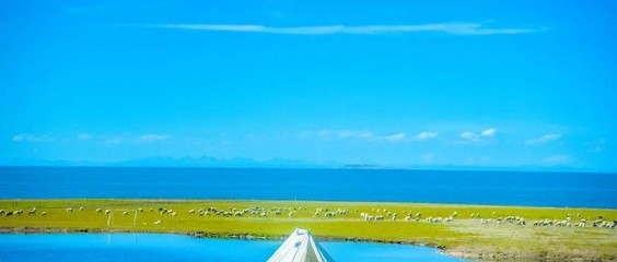 露營(yíng)熱浪襲來 旅行社轉(zhuǎn)型的機(jī)遇與挑戰(zhàn)