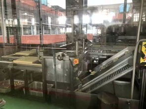 104班云朵家研學(xué)之旅 探秘祖名豆腐廠，品味傳統(tǒng)工藝的現(xiàn)代傳承