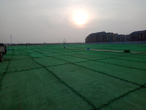 蚌埠市泥土與泥漿固化劑供應(yīng)及租賃服務(wù)詳解